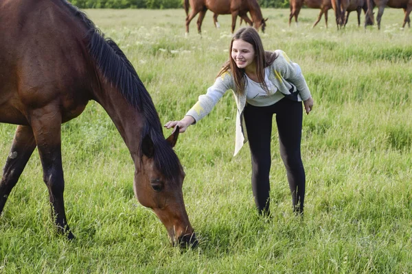 Dziewczyna jest głaskanie konia. Dziewczyna z konie na pastwisku. — Zdjęcie stockowe