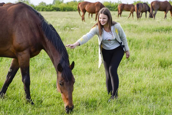 少女は馬をなでます。牧場で馬と少女. — ストック写真