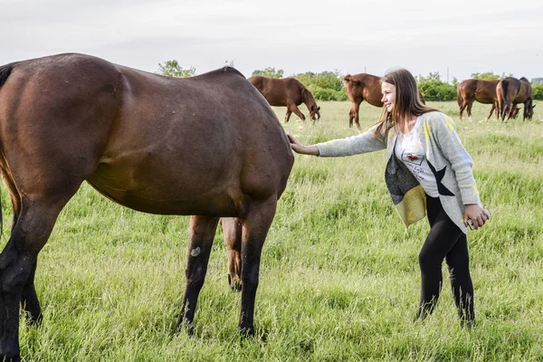 少女は馬をなでます。牧場で馬と少女. — ストック写真