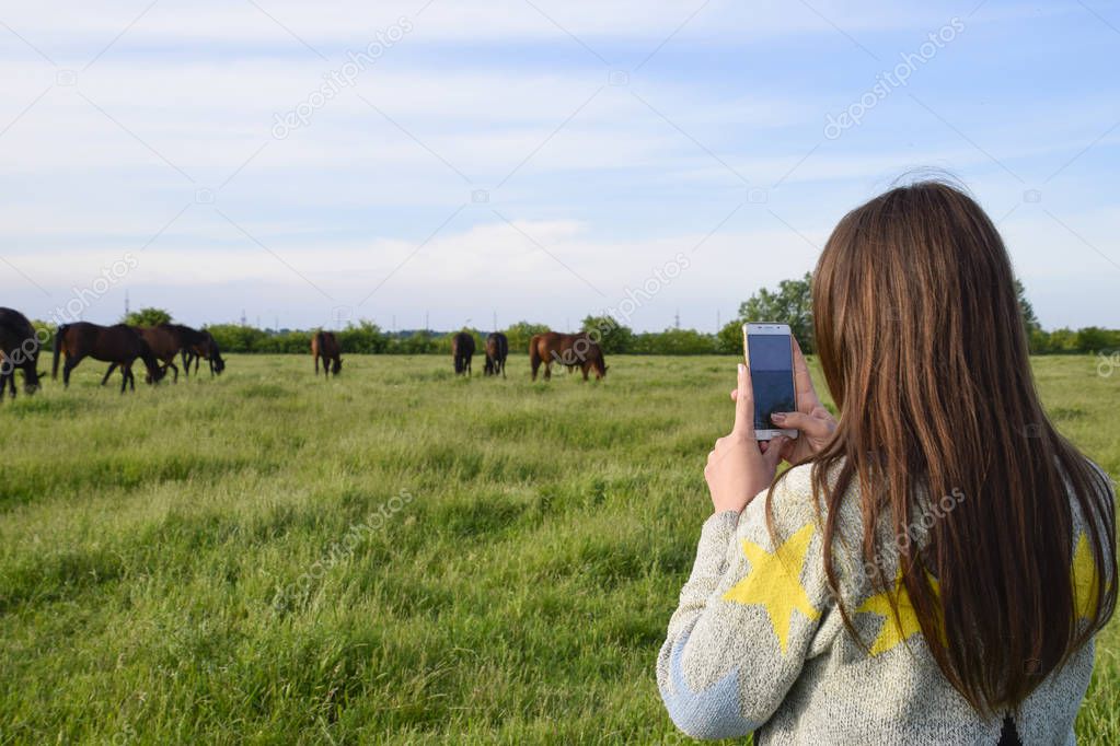 The girl takes pictures of horses grazing on the phone. Girl with a smartphone.