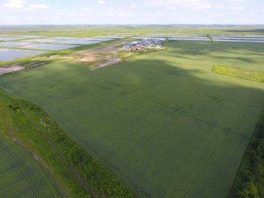 Kurutma ve depolama tahıl için bitki. Üstten Görünüm. Tahıl terminal.