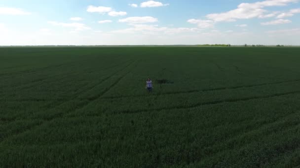 Young woman with her son playing on the field of green wheat. Walking in the open air. — Stock Video