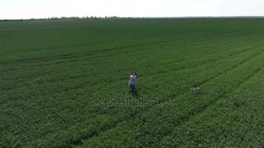 Genç kadın oğluyla yeşil buğday sahada oynuyor. Açık havada yürüyüş.