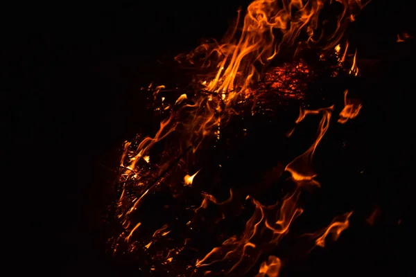 Fuego Quemadura Paja Arroz Por Noche — Foto de Stock