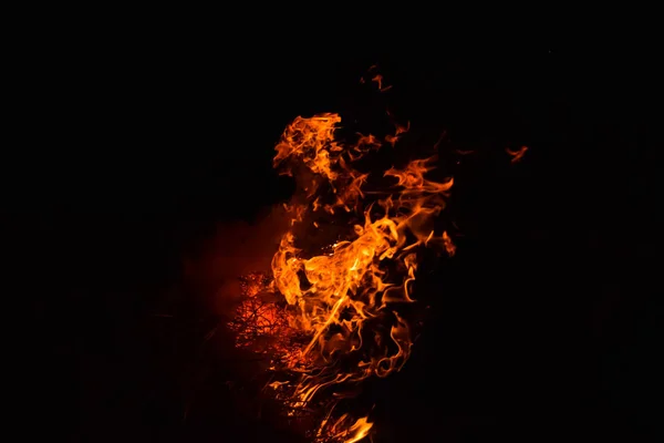 Fuego Quemadura Paja Arroz Por Noche —  Fotos de Stock