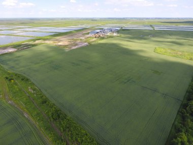 Kurutma ve depolama tahıl için bitki. Üstten Görünüm. Tahıl terminal.