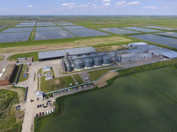 Graan Terminal Plant Voor Het Drogen Opslag Van Graan Rijst — Stockfoto