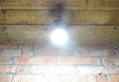 Bir ampul, gece böcekler. Cazibe böcekler ışık.