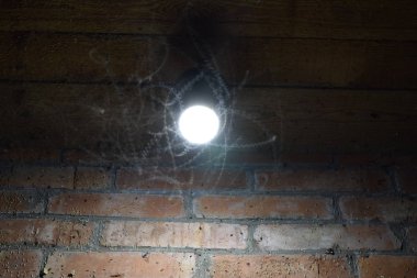 Bir ampul, gece böcekler. Cazibe böcekler ışık.