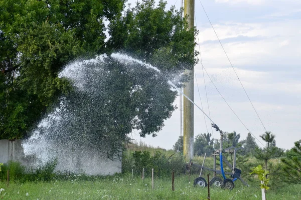Irrigation System Watering Garden Watering Seedlings Park Watering Fields Sprinkler — Stock Photo, Image