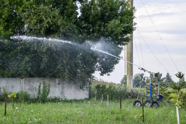 Sistema Riego Riego Jardín Riego Las Plántulas Parque Riego Los —  Fotos de Stock