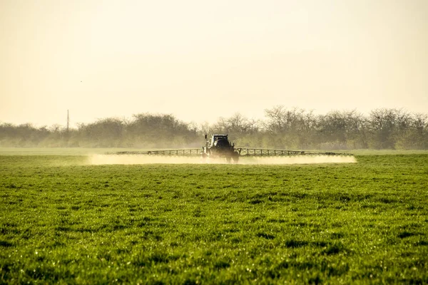 Traktor na slunce pozadí. Traktor s vysoká kola dělá hnojivo na mladé pšenice. Používání chemických látek jemně dispergované sprej — Stock fotografie