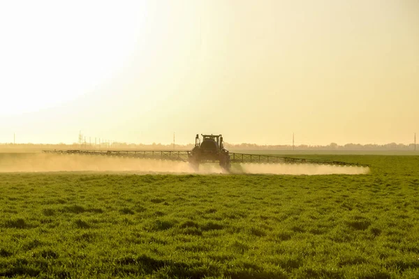 Traktor na slunce pozadí. Traktor s vysoká kola dělá hnojivo na mladé pšenice. Používání chemických látek jemně dispergované sprej — Stock fotografie