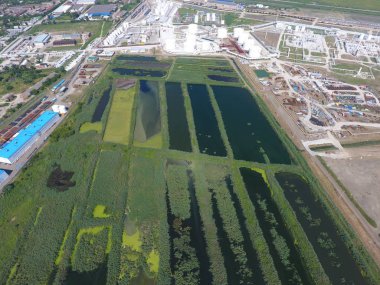 Slavyansk tarihinde Kuban kanalizasyon arıtma tesisi. Su arıtılması küçük bir şehir için. Su kıyısında parlak sazlık.