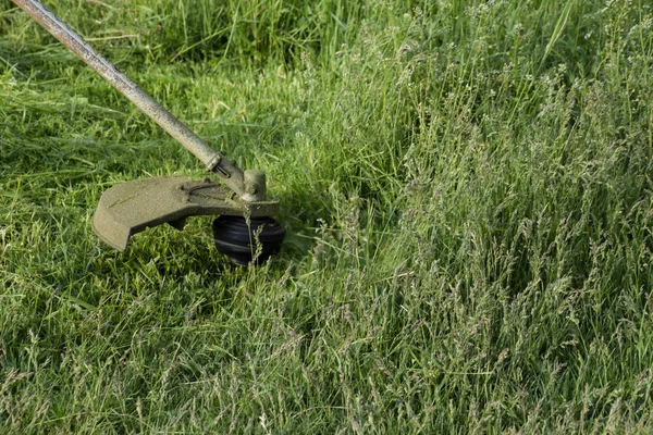 Grünes Gras Mit Einem Angelschnurschneider Mähen Anwendungsschneider — Stockfoto