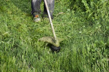 Balık tutma çizgi düzeltici kullanarak yeşil çim biçme. Uygulama & bıyık kesme makineleri.