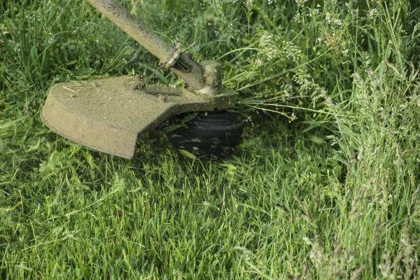 Memotong Rumput Hijau Menggunakan Trimmer Pancing Pemangkas Aplikasi — Stok Foto