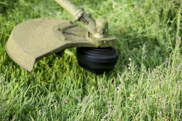 Grünes Gras Mit Einem Angelschnurschneider Mähen Anwendungsschneider — Stockfoto