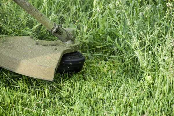 Grünes Gras Mit Einem Angelschnurschneider Mähen Anwendungsschneider — Stockfoto