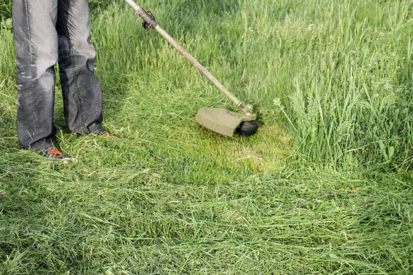 Memotong Rumput Hijau Menggunakan Trimmer Pancing Pemangkas Aplikasi — Stok Foto