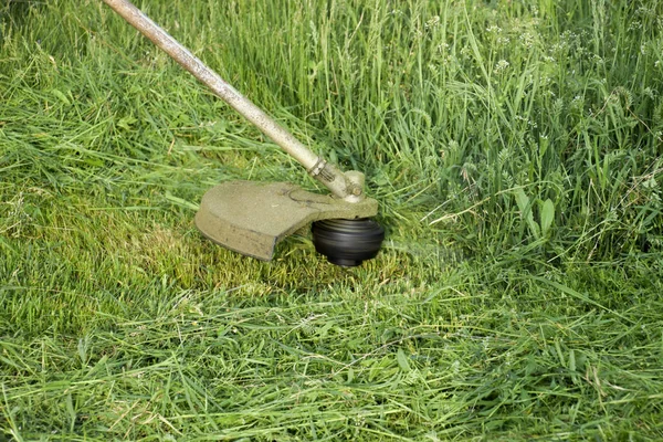Memotong Rumput Hijau Menggunakan Trimmer Pancing Pemangkas Aplikasi — Stok Foto