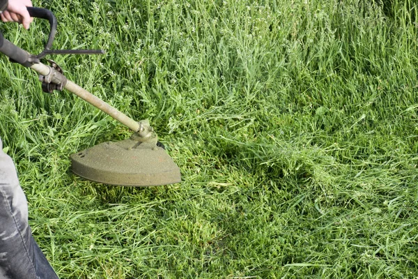 Memotong Rumput Hijau Menggunakan Trimmer Pancing Pemangkas Aplikasi — Stok Foto