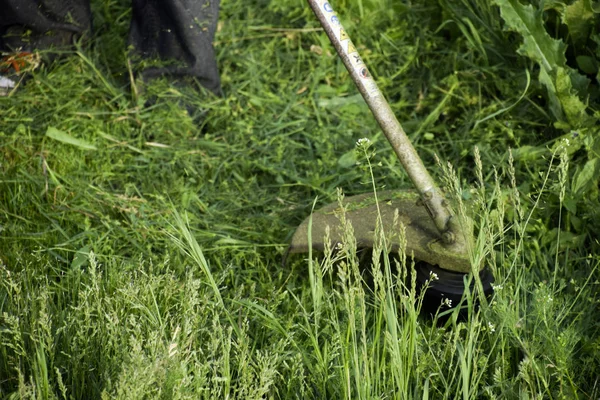 Memotong Rumput Hijau Menggunakan Trimmer Pancing Pemangkas Aplikasi — Stok Foto