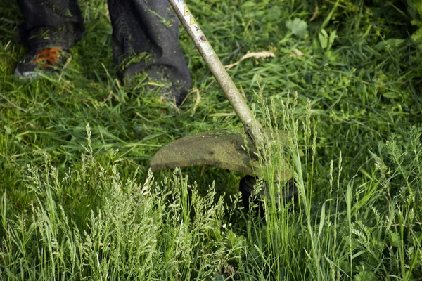 Maaien Van Gras Met Behulp Van Een Visserij Lijn Trimmer — Stockfoto