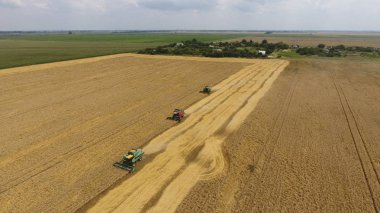 Buğday biçme makinesi. Tarım makineleri tarladan tahıl topluyor. Tarım makineleri devrede.