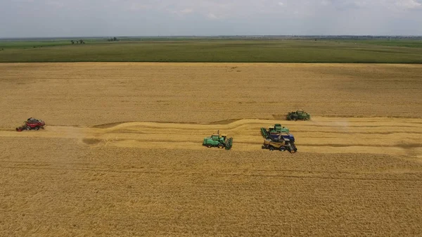 Maszyny zniwne Kombajny pszenicy. Maszyny rolnicze zbiorów zboża na polu. — Zdjęcie stockowe