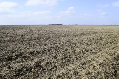 Sürülmüş alan. Tarım arazileri bahar işlenmesi