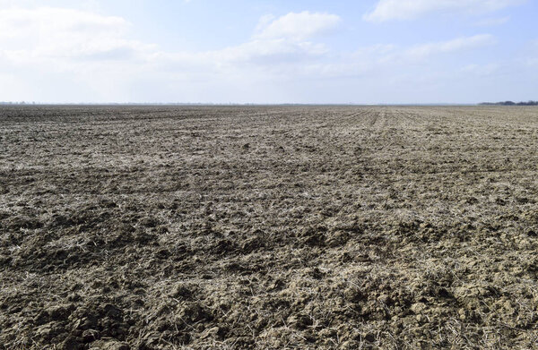 The plowed field. Spring processing of farmlands