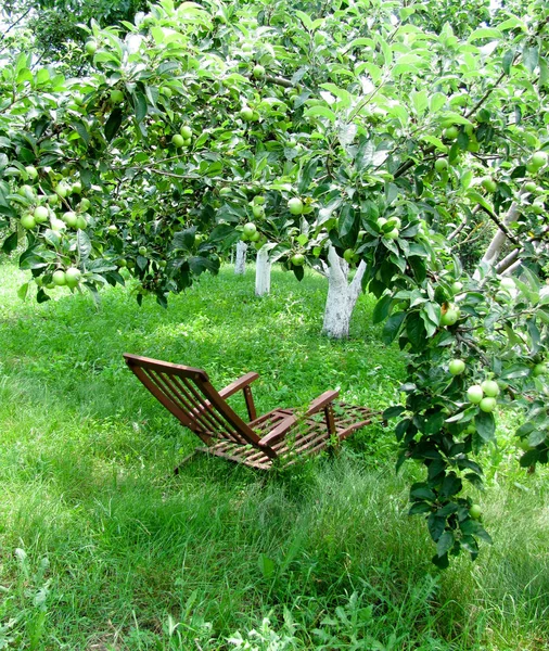 Krzesło Zielonym Ogrodzie Zielone Jabłka — Zdjęcie stockowe