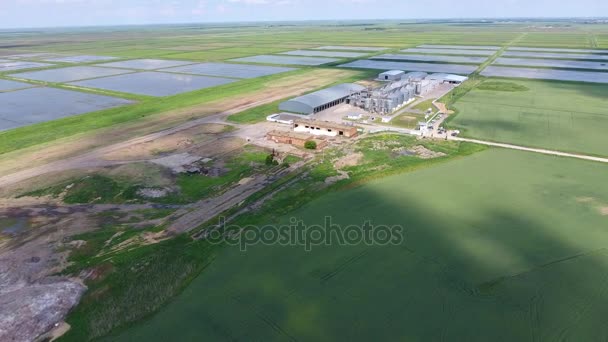 Planta para el secado y almacenamiento de granos — Vídeos de Stock