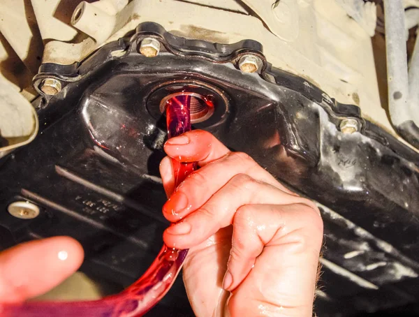 Otomatik şanzıman yağ değişimi. Hortum aracılığıyla petrol dolum. Araba bakım istasyonu. Kırmızı dişli yağı. Araba tamircisi yağı eller.