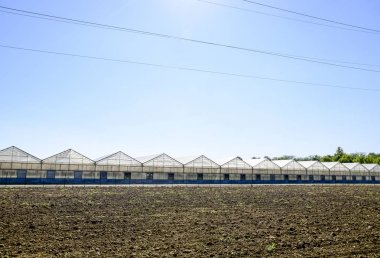 Polikarbonat seralar. Sera karmaşık. Seralarda sebze kapalı toprak altında büyüyen.