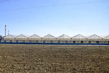 Polikarbonat seralar. Sera karmaşık. Seralarda sebze kapalı toprak altında büyüyen.