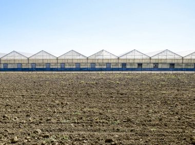 Polikarbonat seralar. Sera karmaşık. Seralarda sebze kapalı toprak altında büyüyen.