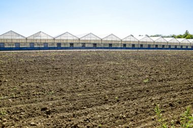 Polikarbonat seralar. Sera karmaşık. Seralarda sebze kapalı toprak altında büyüyen.