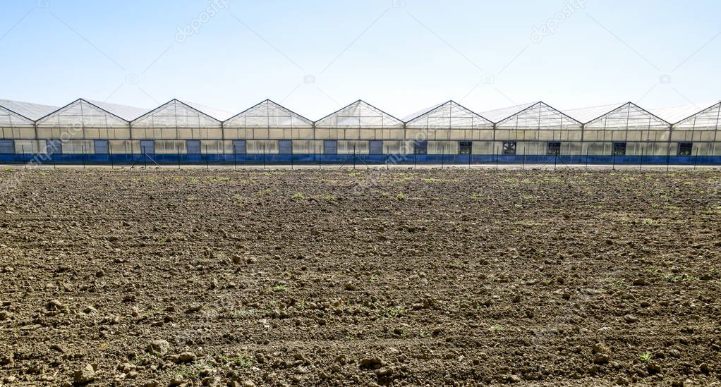 Polycarbonate greenhouses. Greenhouse complex. Greenhouses for growing vegetables under the closed ground