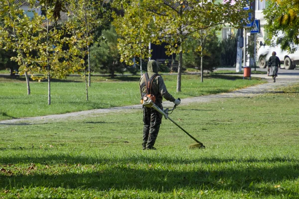 Krasnodar, Rusya - 12 Ekim 2016: bir işçi bir benzin fırça ile çim biçme. Düzeltici. Balık tutma çizgi düzeltici kullanarak yeşil çim biçme. Uygulama & bıyık kesme makineleri.