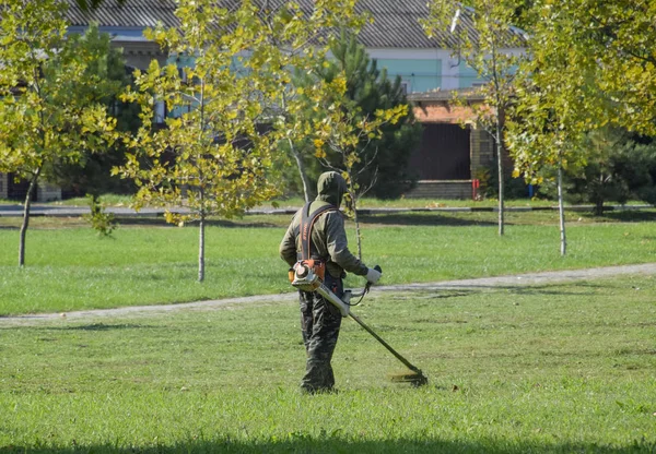 Krasnodar, Rusya - 12 Ekim 2016: bir işçi bir benzin fırça ile çim biçme. Düzeltici. Balık tutma çizgi düzeltici kullanarak yeşil çim biçme. Uygulama & bıyık kesme makineleri.