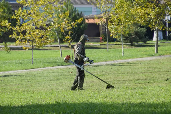 Krasnodar, Rusya - 12 Ekim 2016: bir işçi bir benzin fırça ile çim biçme. Düzeltici. Balık tutma çizgi düzeltici kullanarak yeşil çim biçme. Uygulama & bıyık kesme makineleri.