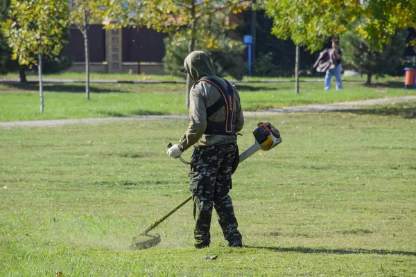 Krasnodar, Rusya - 12 Ekim 2016: bir işçi bir benzin fırça ile çim biçme. Düzeltici. Balık tutma çizgi düzeltici kullanarak yeşil çim biçme. Uygulama & bıyık kesme makineleri.
