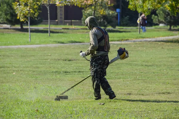 Krasnodar, Rusya - 12 Ekim 2016: bir işçi bir benzin fırça ile çim biçme. Düzeltici. Balık tutma çizgi düzeltici kullanarak yeşil çim biçme. Uygulama & bıyık kesme makineleri.
