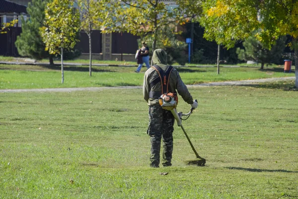 Krasnodar, Rusya - 12 Ekim 2016: bir işçi bir benzin fırça ile çim biçme. Düzeltici. Balık tutma çizgi düzeltici kullanarak yeşil çim biçme. Uygulama & bıyık kesme makineleri.