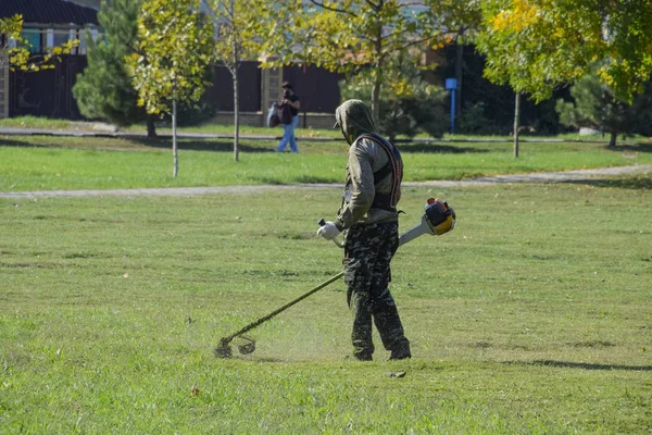 Krasnodar, Rusya - 12 Ekim 2016: bir işçi bir benzin fırça ile çim biçme. Düzeltici. Balık tutma çizgi düzeltici kullanarak yeşil çim biçme. Uygulama & bıyık kesme makineleri.