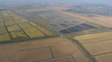 Pirinç su dolu alanlar üzerinde büyüyen. Olgun pirinç alanında, hasat başlangıcı. Kuşbakışı.