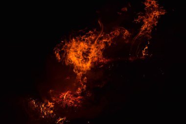 Pirinç saman geceleri yanan. Siyah bir zemin üzerine kırmızı ateş. Yanma.