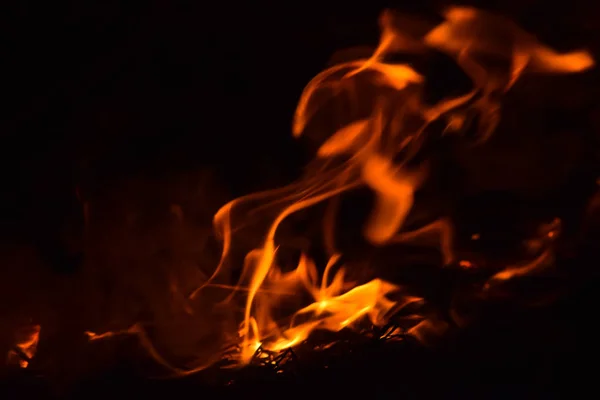 Queima de palha de arroz à noite. Fogo vermelho sobre um fundo preto. Combustão . — Fotografia de Stock